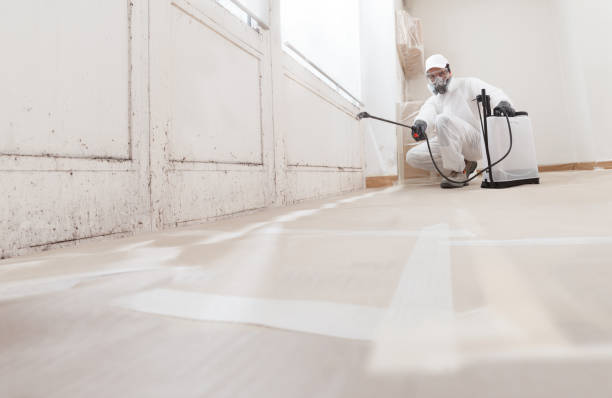 Trusted Commercial Mold Remediation service in Allenwood, PA - WQB Mold Removal